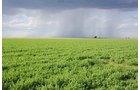 Property photo 65 - LAND AUCTION, 3255+/- Acres offered in 13 Tracts